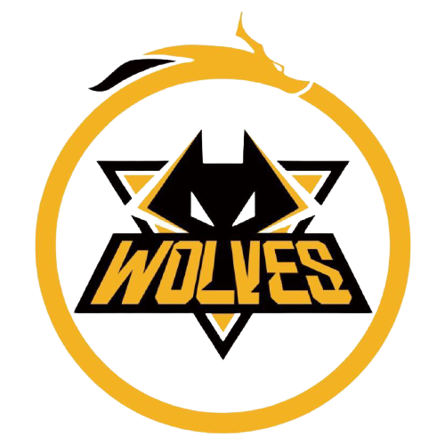 未来若能够 未来若能够