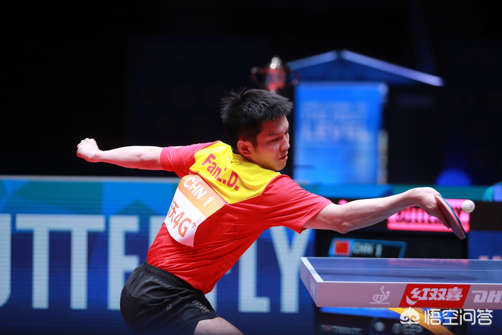 来一直是总 来一直是总