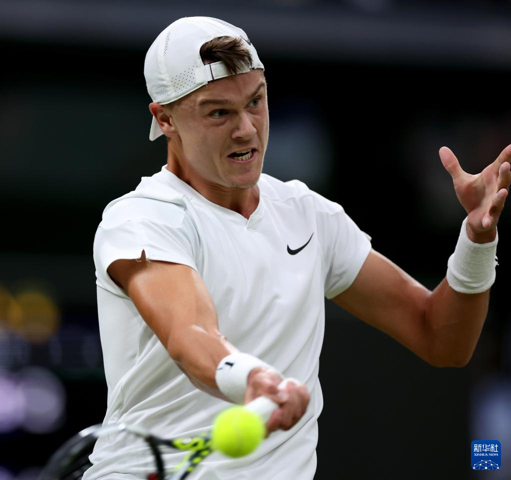 將他納入麾 將他納入麾